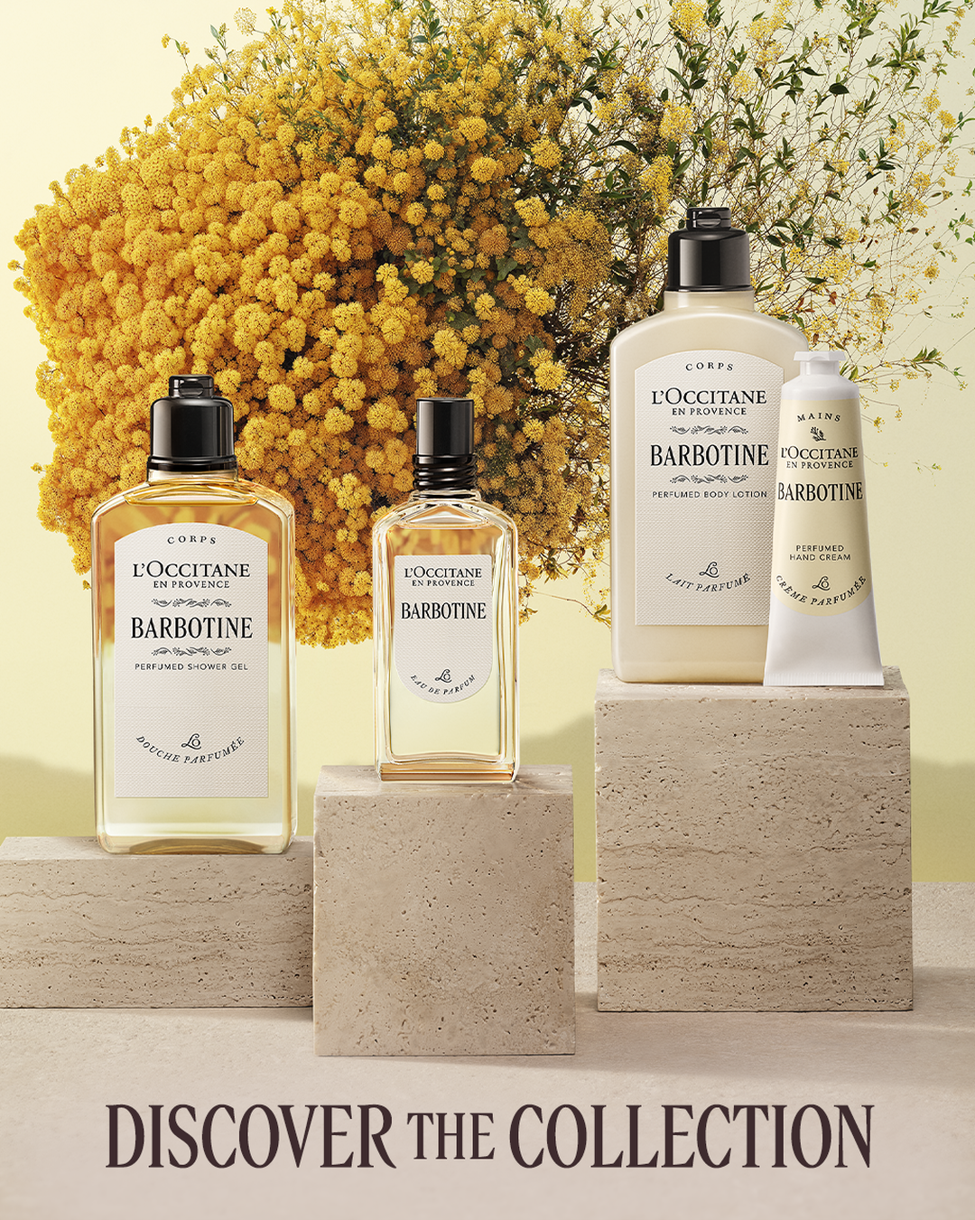 Barbotine Perfumed Body Lotion 8.4 fl. oz - Image 7