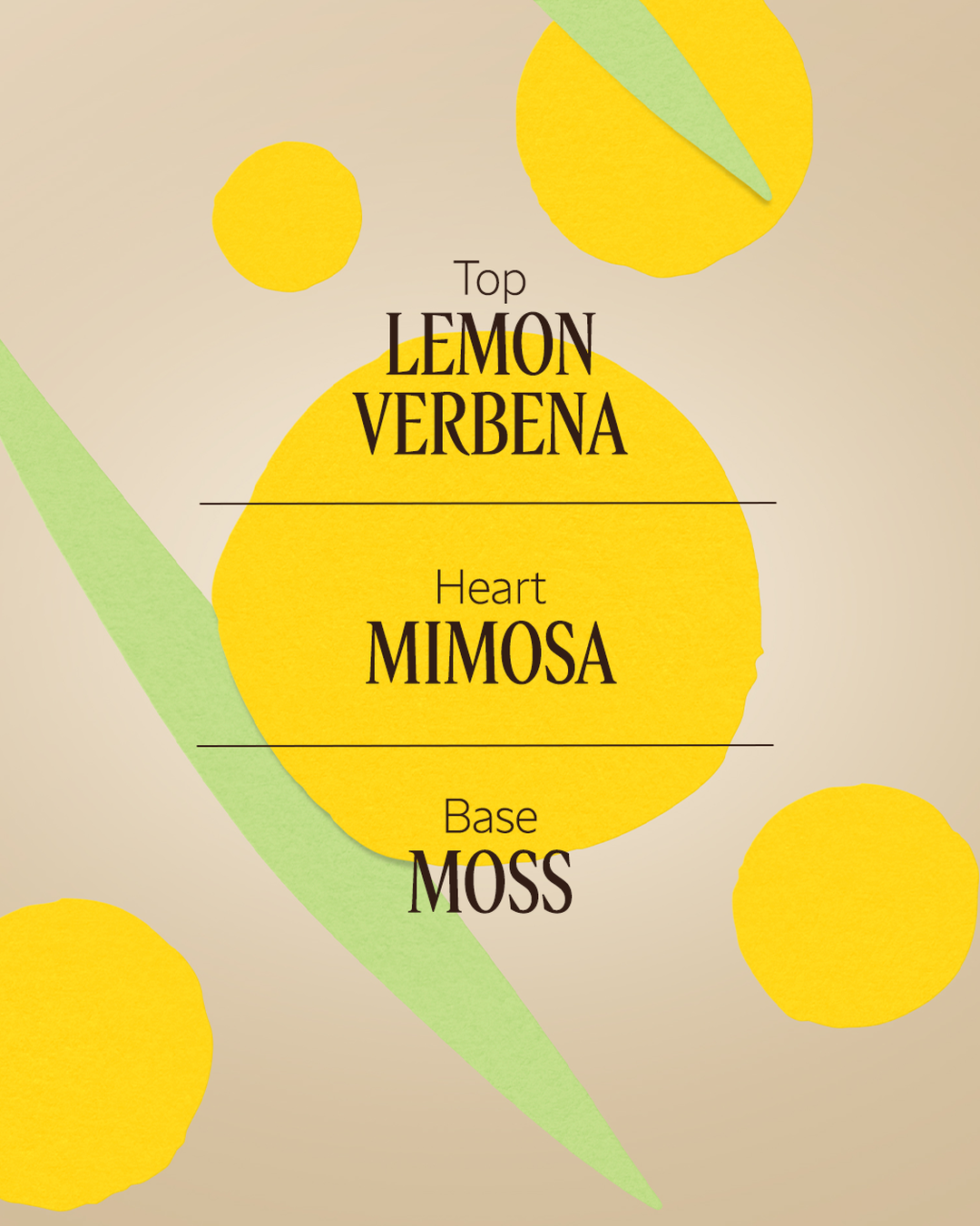 Mimosa Verveine Perfumed Shower Gel 8.4 fl. oz - Image 3