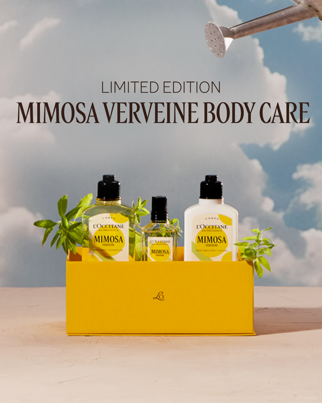 Mimosa Verveine Perfumed Body Lotion 8.4 fl. oz - Image 2