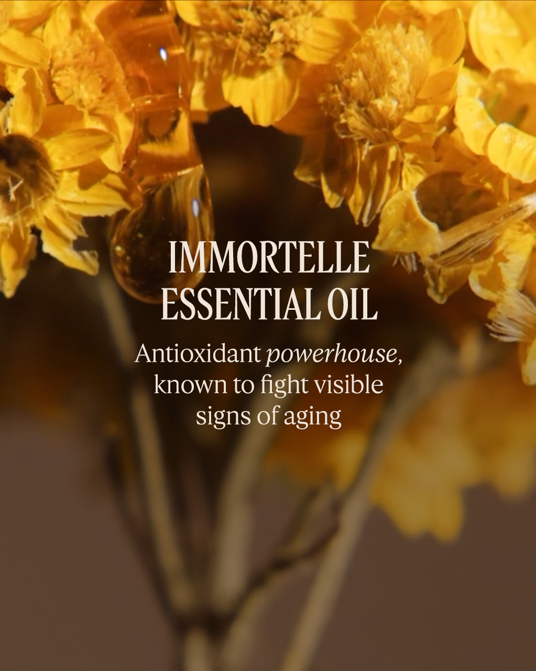 Immortelle Overnight Reset Oil-in-Serum 1.6 fl. oz - Image 3