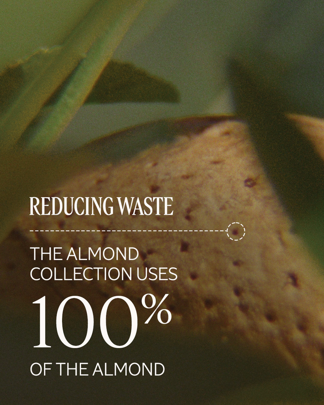 Almond Milk Concentrate Body Cream 6.9 oz - Image 9